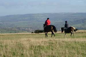 Cotswolds