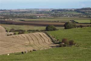 Lincolnshire Wolds