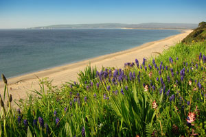 Canford Cliffs Chine