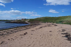 Elie Woodhaven (Ruby Bay)