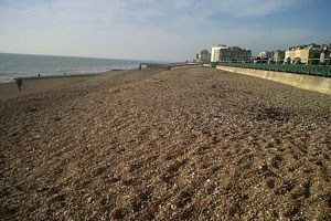 Hove Lawn