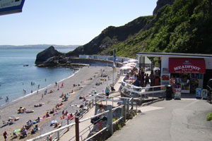 Meadfoot Beach
