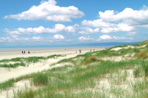 Pembrey Country Park